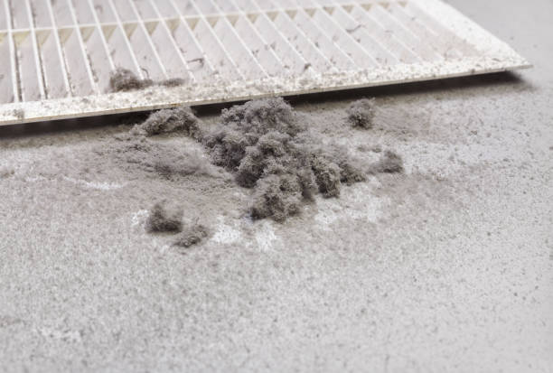 Best Best Air Duct Cleaning Company  in Mcnary, AZ